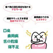 ���t�p���[